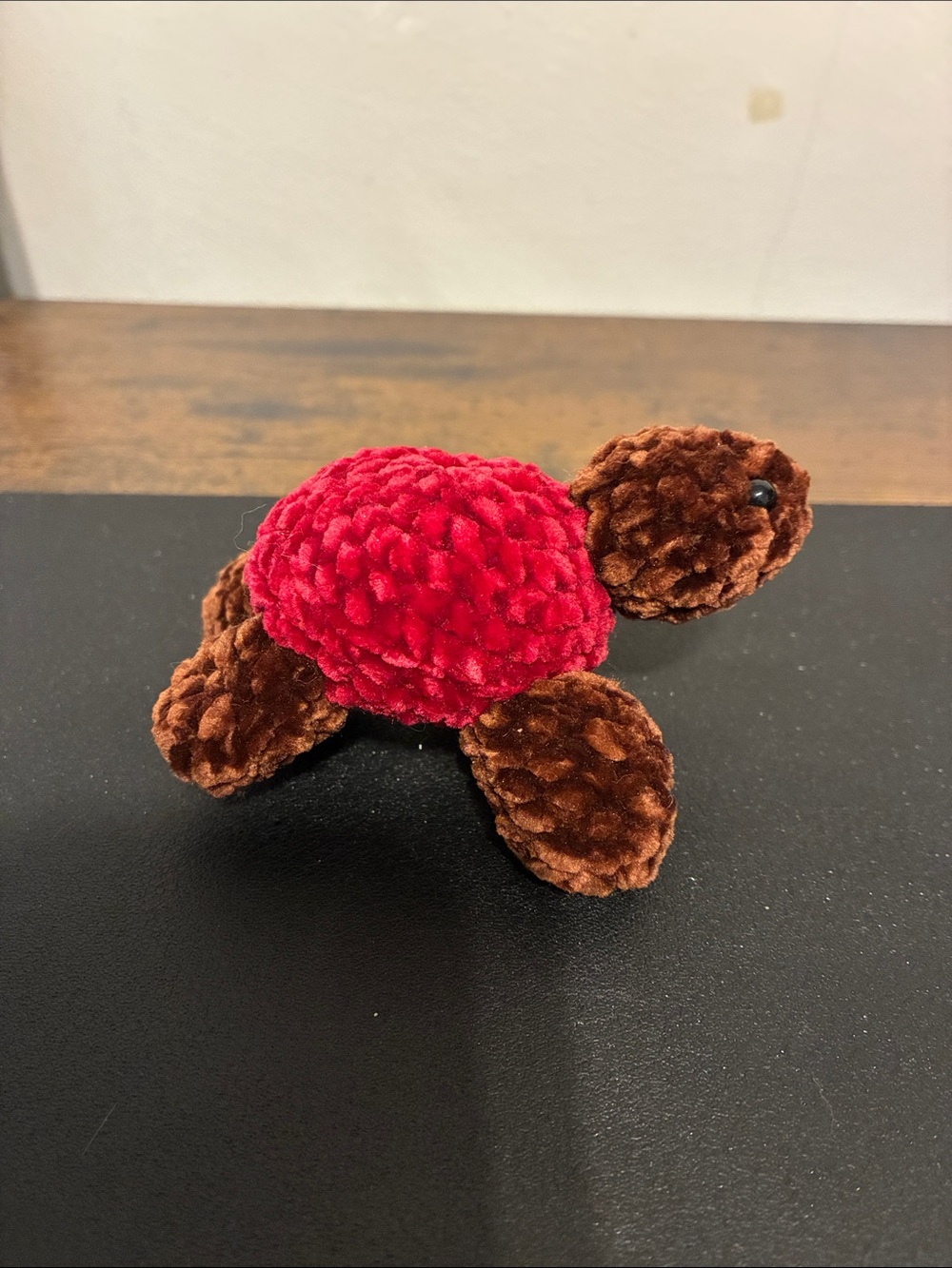 Crotched Turtle